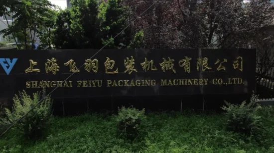上海飛宇機械自動ネジ、釘、留め具、包装、箱、包装、包装装置